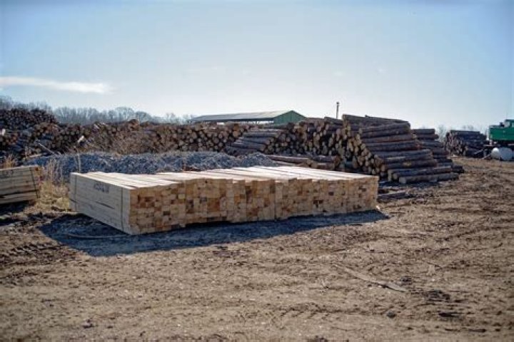 Amish Sawmills & Lumber: Find Quality Wood Products