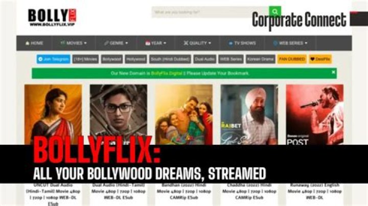 Bollyflix: Your Guide to Bollywood Movies & Streaming | Latest Updates