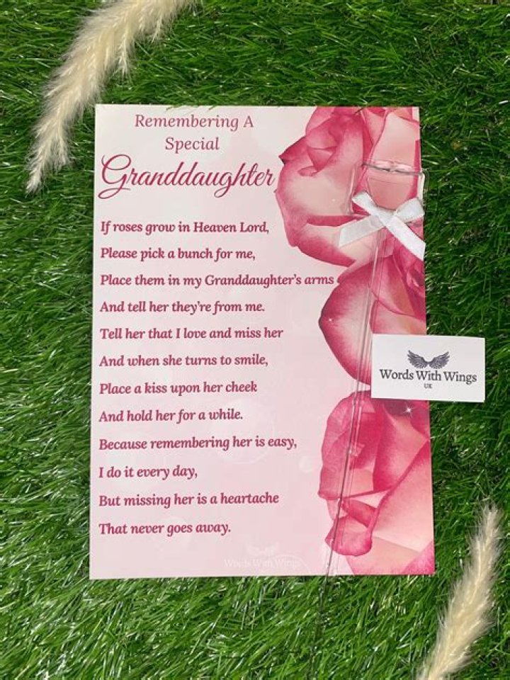 Crystal Lust's Death: Remembering Her Legacy & Cause