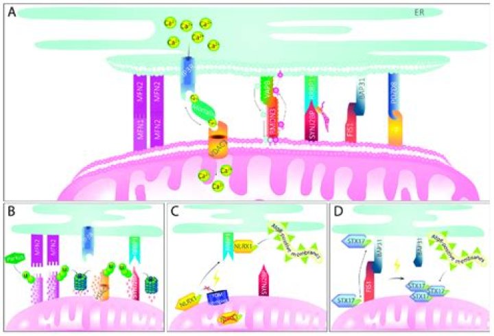 Decoding ippa010054: Meaning & Implications in Systems