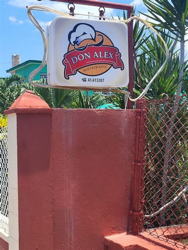 Don Alex Restaurant: Reviews, Menu & More - Your Guide!