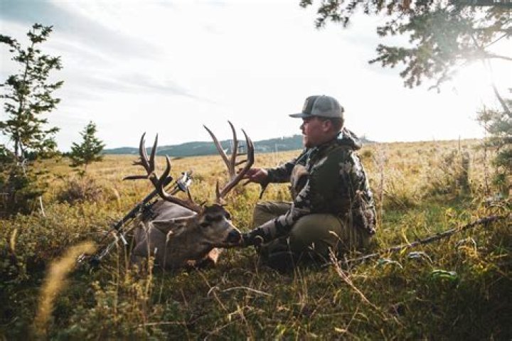 Get Your Arkansas Hunting License: Info & Tips!