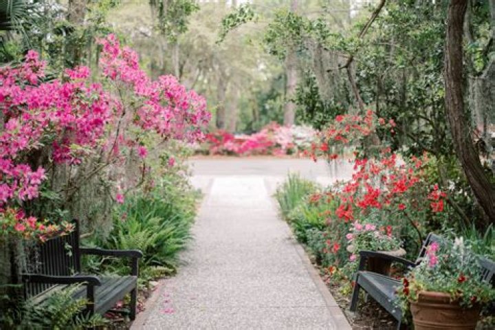 Hotwife Content: Explore, Discover, & Enjoy!