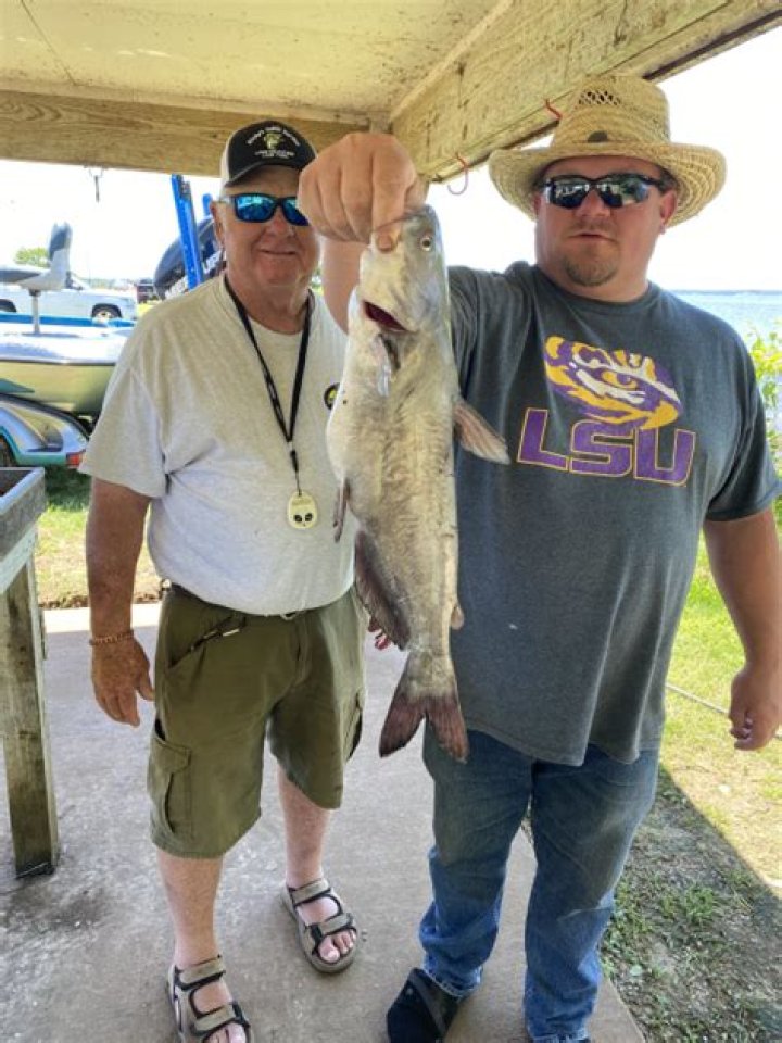 Lake Palestine Fishing Report: Latest from Texas Parks & Wildlife