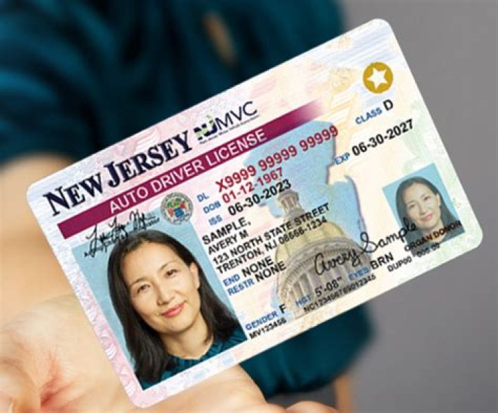 NJ Driver's License Renewal: Your Guide to Real ID & More