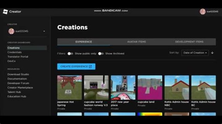 Roblox Creator Hub Guide: Build & Monetize Your Games!