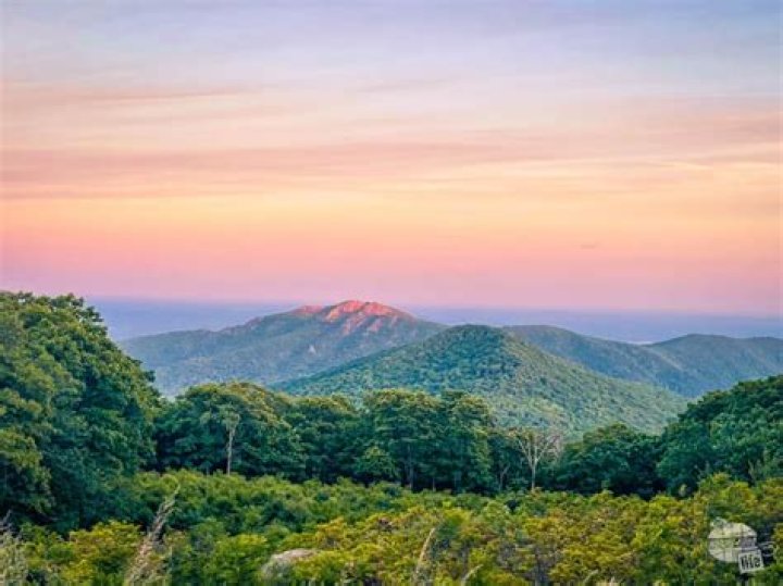 Shenandoah National Park: Your Ultimate Guide to Planning & Tips