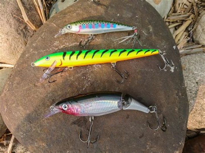 Top Jerkbaits for Trout Fishing: Catch More Fish!