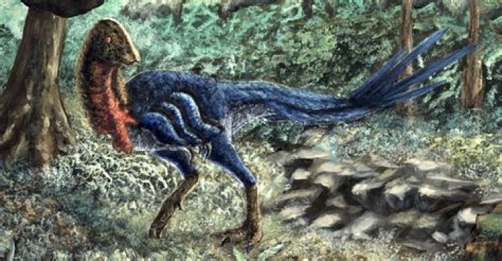 Unveiling The Intriguing Saga Of December 22, 2024: Discoveries And Revelations