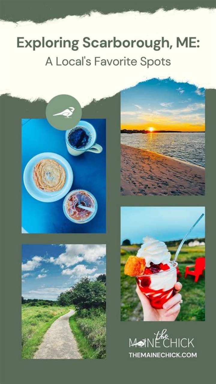 Where's Joe? Exploring Scarborough's Absences from Morning Joe