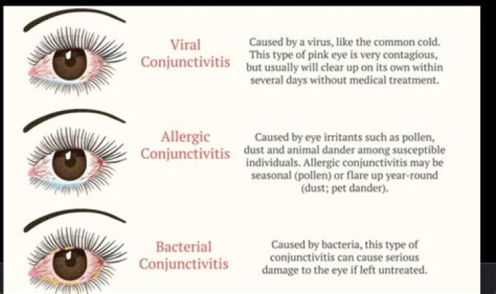 Wpcnt.com: What You Need to Know + Viral Video Dangers & Safety Tips
